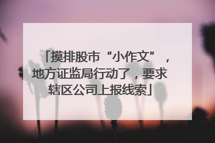 摸排股市“小作文”，地方证监局行动了，要求辖区公司上报线索