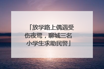 放学路上偶遇受伤夜鹭，聊城三名小学生求助民警