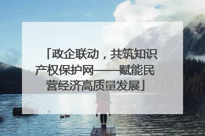 政企联动，共筑知识产权保护网——赋能民营经济高质量发展