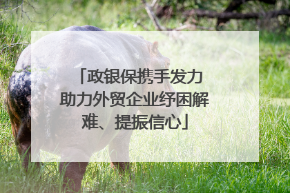 政银保携手发力 助力外贸企业纾困解难、提振信心