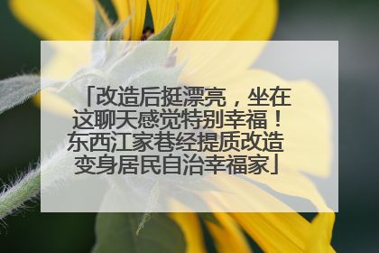 改造后挺漂亮，坐在这聊天感觉特别幸福！东西江家巷经提质改造变身居民自治幸福家