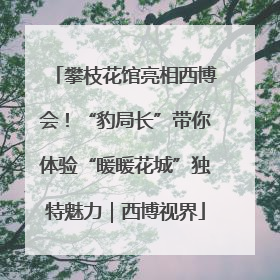 攀枝花馆亮相西博会！“豹局长”带你体验“暖暖花城”独特魅力｜西博视界