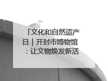 文化和自然遗产日｜开封市博物馆：让文物焕发新活力绽放新光彩