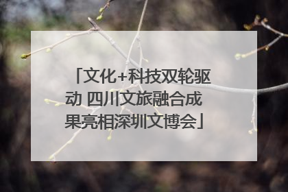 文化+科技双轮驱动 四川文旅融合成果亮相深圳文博会