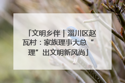 文明乡伴｜淄川区赵瓦村：家族理事大总“理”出文明新风尚