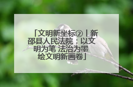 文明新坐标②丨新邵县人民法院：以文明为笔 法治为墨 绘文明新画卷