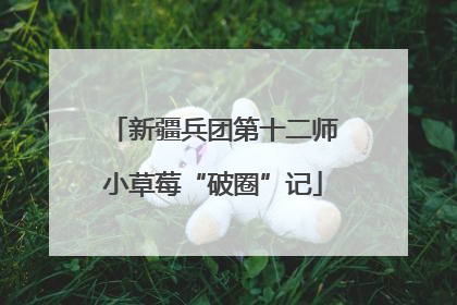 新疆兵团第十二师小草莓“破圈”记