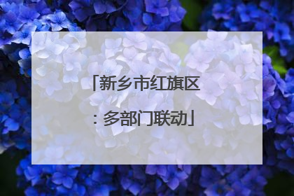 新乡市红旗区：多部门联动