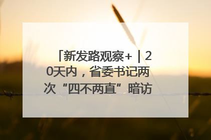 新发路观察+｜20天内，省委书记两次“四不两直”暗访，有何深意？