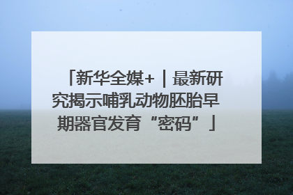 新华全媒+｜最新研究揭示哺乳动物胚胎早期器官发育“密码”