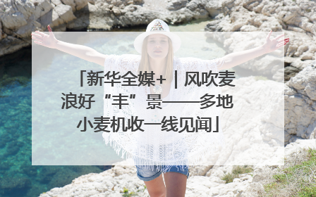 新华全媒+｜风吹麦浪好“丰”景——多地小麦机收一线见闻