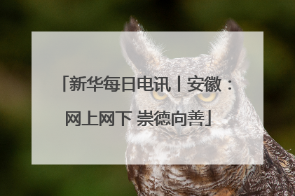 新华每日电讯丨安徽：网上网下 崇德向善