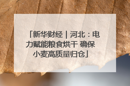 新华财经｜河北：电力赋能粮食烘干 确保小麦高质量归仓