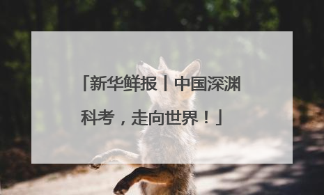 新华鲜报丨中国深渊科考，走向世界！