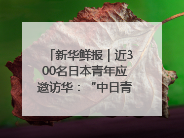 新华鲜报｜近300名日本青年应邀访华：“中日青年可以创造更好的未来”