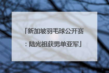 新加坡羽毛球公开赛：陆光祖获男单亚军