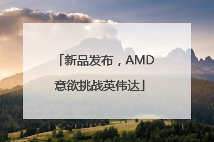 新品发布，AMD意欲挑战英伟达