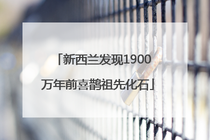 新西兰发现1900万年前喜鹊祖先化石