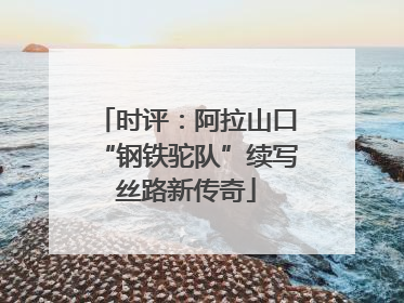 时评：阿拉山口“钢铁驼队”续写丝路新传奇