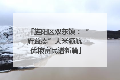旌阳区双东镇：“旌益态”大米领航 优粮富民谱新篇