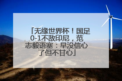 无缘世界杯！国足0-1不敌印尼，范志毅语塞：早没信心了但不甘心