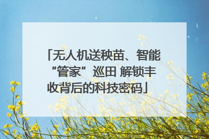 无人机送秧苗、智能“管家”巡田 解锁丰收背后的科技密码