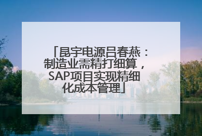 昆宇电源吕春燕：制造业需精打细算，SAP项目实现精细化成本管理