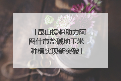 昆山援疆助力阿图什市盐碱地玉米种植实现新突破