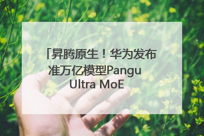 昇腾原生！华为发布准万亿模型Pangu Ultra MoE模型架构和训练细节