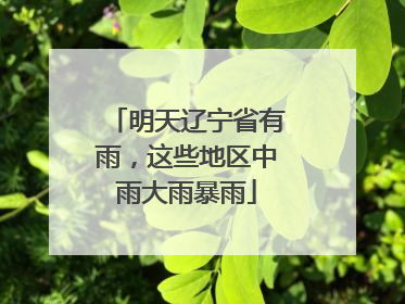 明天辽宁省有雨，这些地区中雨大雨暴雨