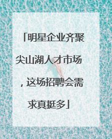 明星企业齐聚尖山湖人才市场，这场招聘会需求真挺多