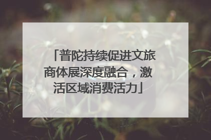 普陀持续促进文旅商体展深度融合，激活区域消费活力