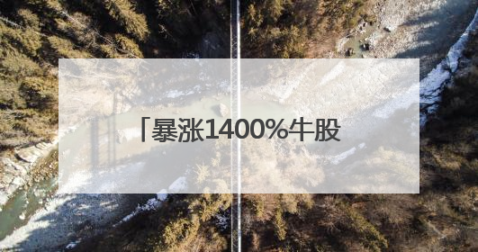暴涨1400%牛股，造就“新首富”！