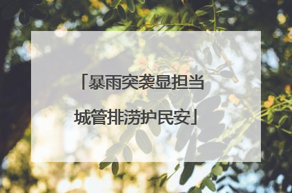 暴雨突袭显担当 城管排涝护民安