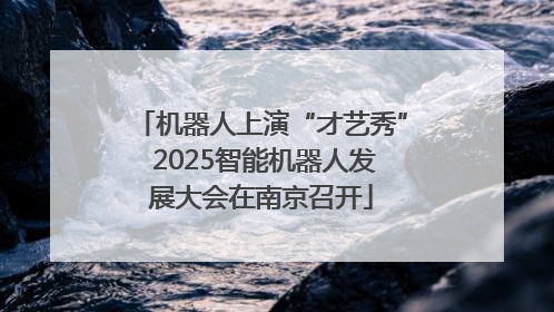 机器人上演“才艺秀” 2025智能机器人发展大会在南京召开