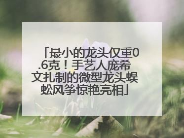 最小的龙头仅重0.6克！手艺人庞希文扎制的微型龙头蜈蚣风筝惊艳亮相