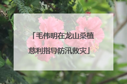 毛伟明在龙山桑植慈利指导防汛救灾