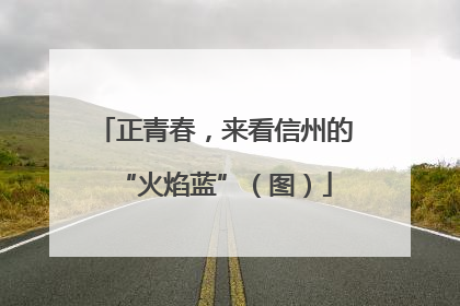 正青春，来看信州的“火焰蓝”（图）