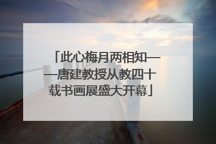 此心梅月两相知——唐建教授从教四十载书画展盛大开幕