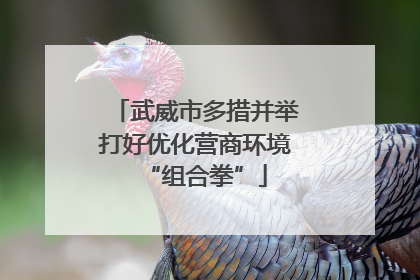 武威市多措并举打好优化营商环境“组合拳”