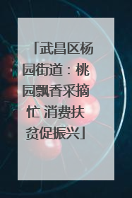 武昌区杨园街道：桃园飘香采摘忙 消费扶贫促振兴
