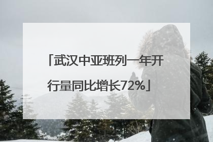 武汉中亚班列一年开行量同比增长72%