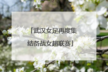 武汉女足再度集结备战女超联赛