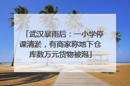 武汉暴雨后：一小学停课清淤，有商家称地下仓库数万元货物被泡