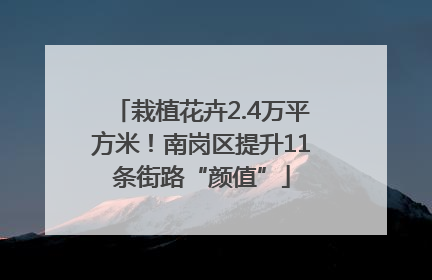 栽植花卉2.4万平方米！南岗区提升11条街路“颜值”