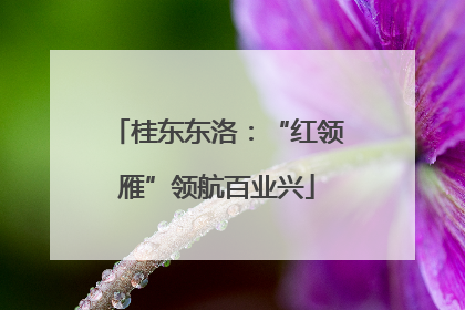桂东东洛：“红领雁”领航百业兴