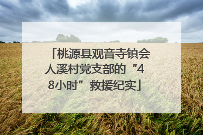 桃源县观音寺镇会人溪村党支部的“48小时”救援纪实