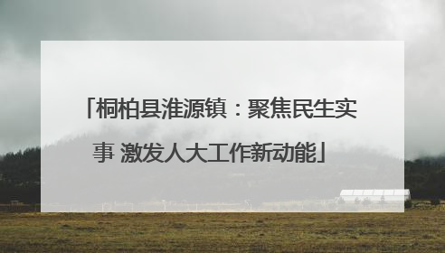 桐柏县淮源镇：聚焦民生实事 激发人大工作新动能