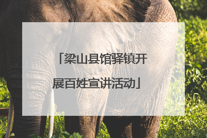 梁山县馆驿镇开展百姓宣讲活动