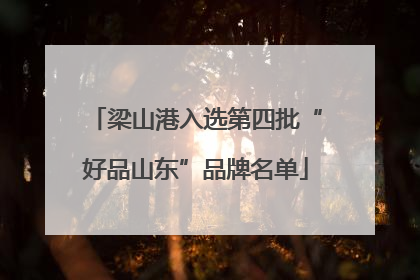 梁山港入选第四批“好品山东”品牌名单